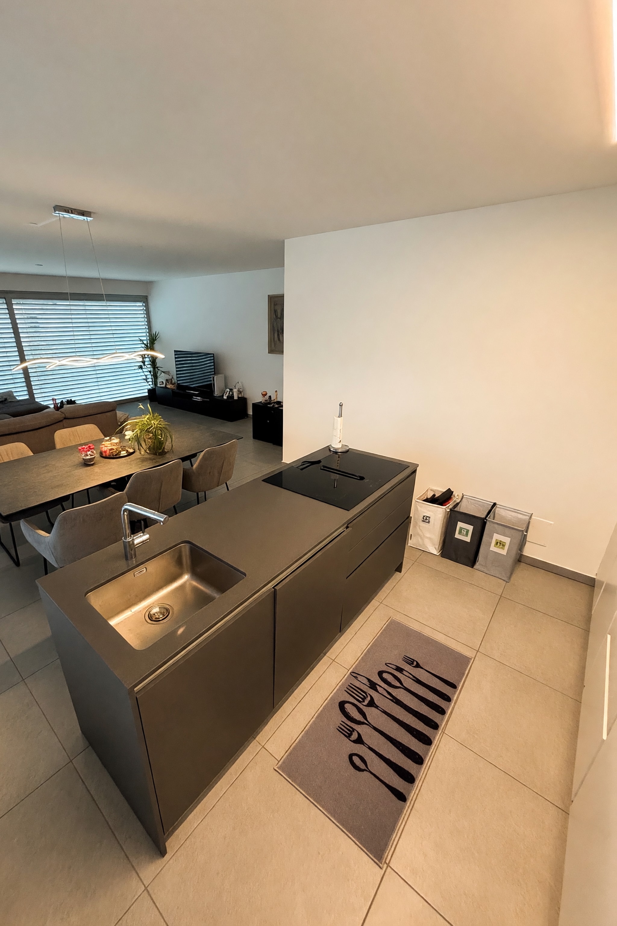 Elegante attico 3,5 locali di nuova realizzazione con splendida terrazza di oltre 70 m² nel cuore di Bellinzona - Bellinzona - foto 13