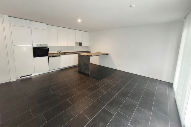 Recente appartamento 2,5 locali con terrazzo in piccola palazzina di sole cinque unità - Cadenazzo