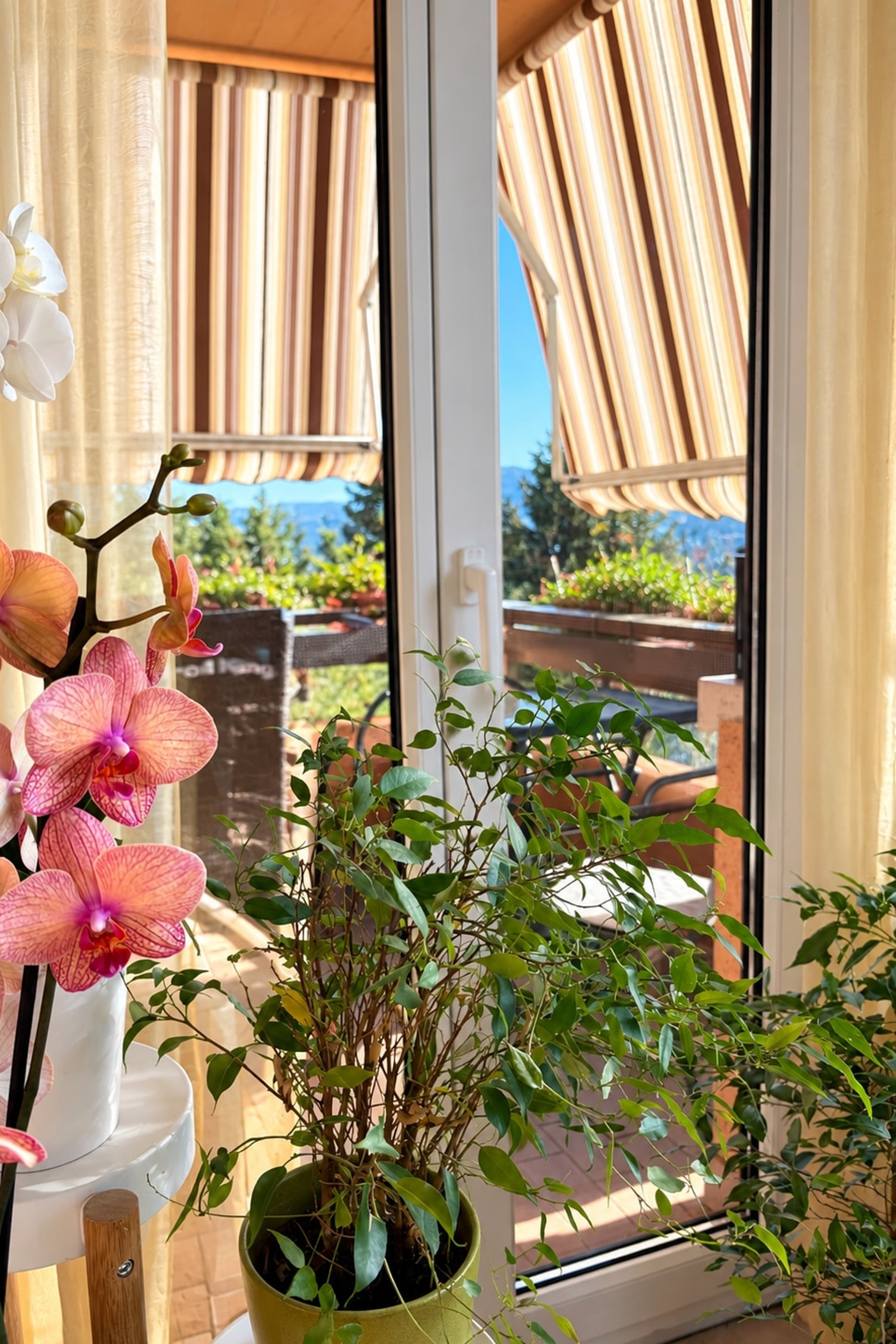 Luminoso appartamento 3,5 locali con balcone, cucina rinnovata e ottimo potenziale d’investimento - Morbio Inferiore - foto 4