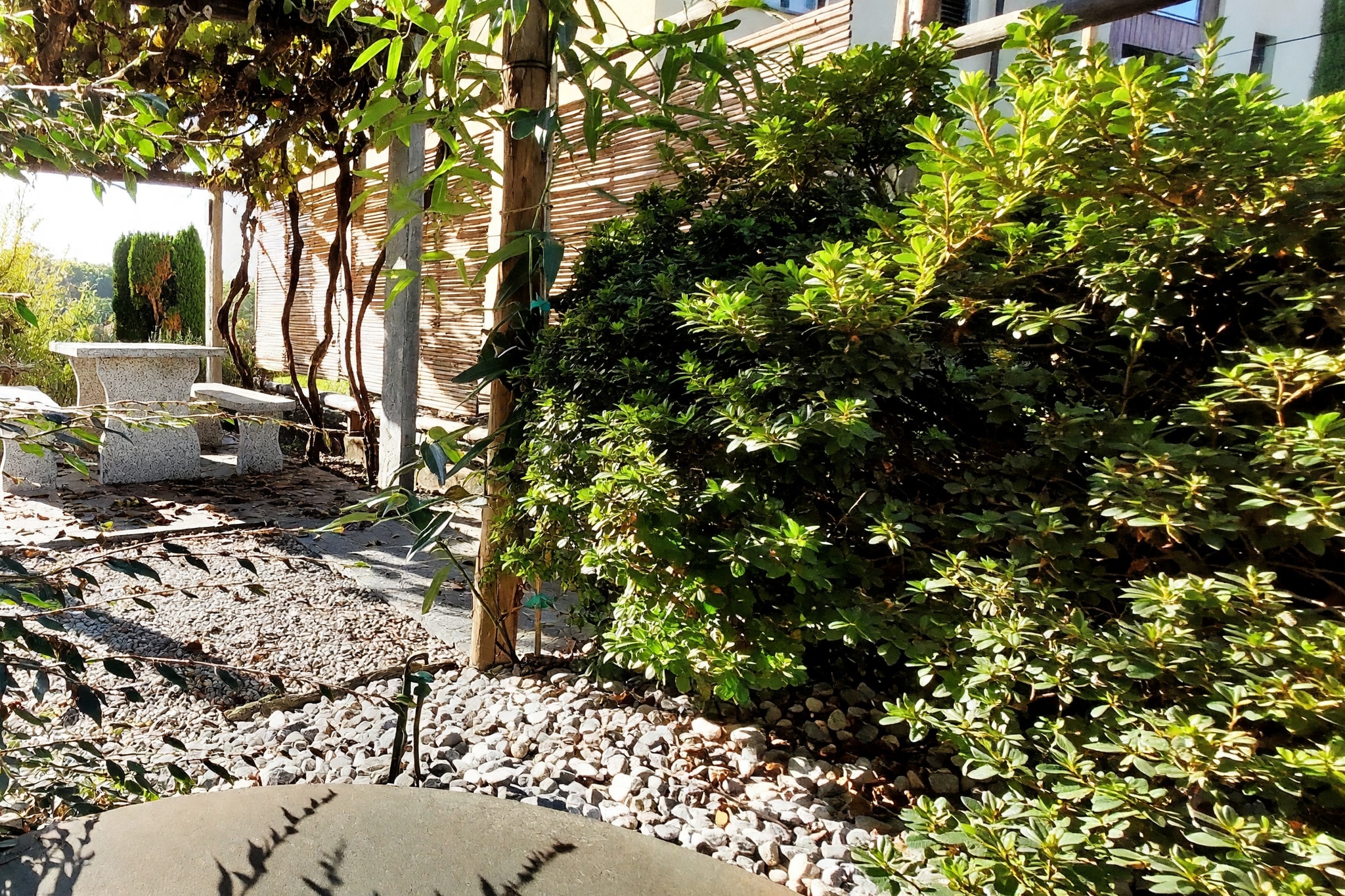 Spazioso appartamento 5,5 locali ristrutturato con giardino privato in stile mediterraneo, tre balconi e ambienti molto luminosi - Comano - foto 10