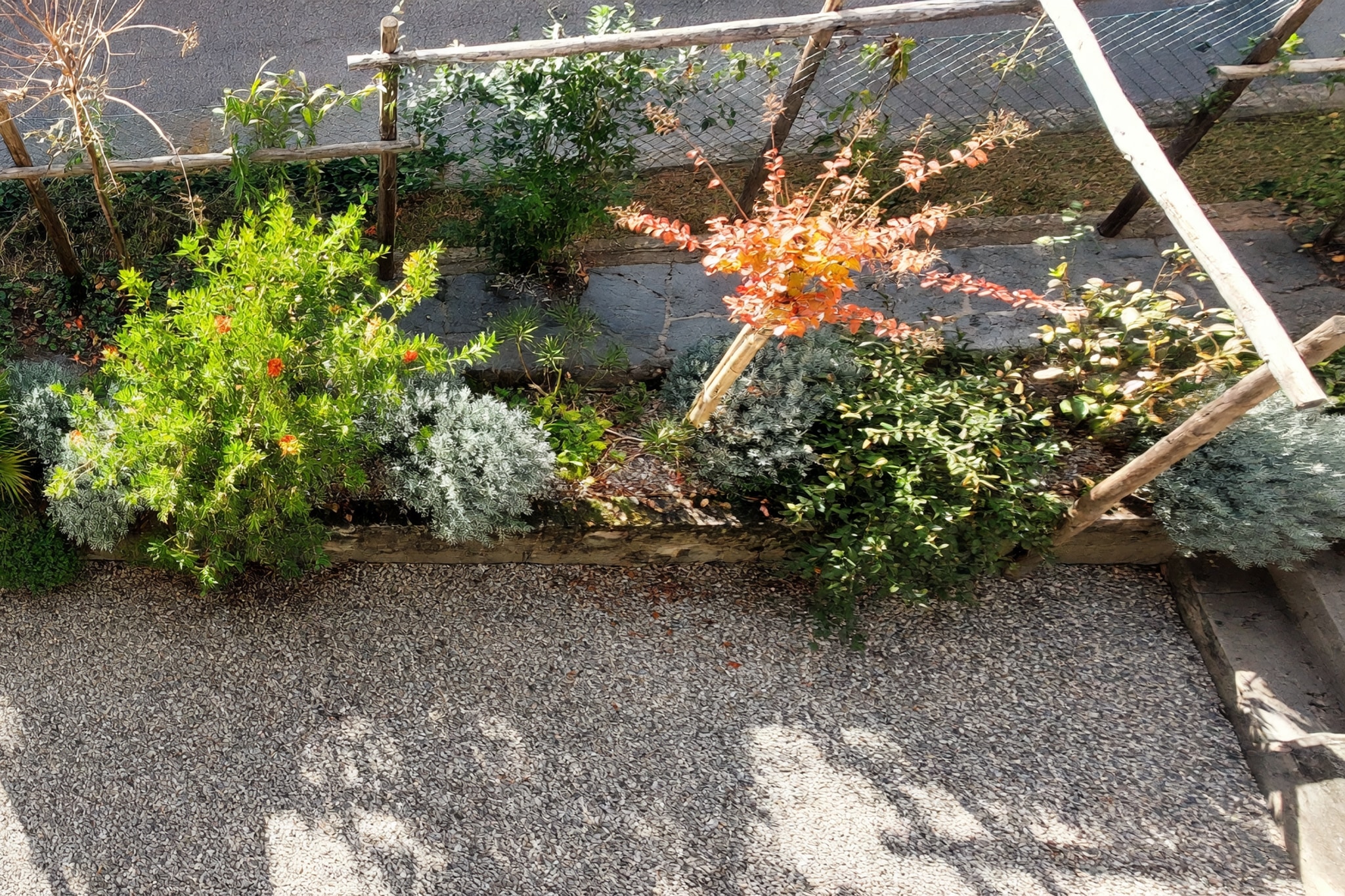 Spazioso appartamento 5,5 locali ristrutturato con giardino privato in stile mediterraneo, tre balconi e ambienti molto luminosi - Comano - foto 13
